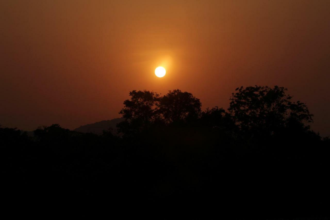 Wasgamu Safari Lodge Wasgamuwa 外观 照片