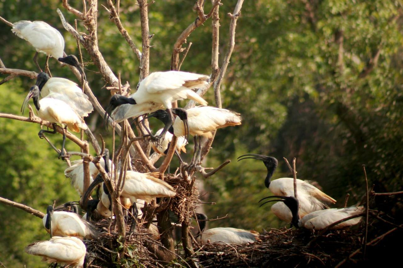 Wasgamu Safari Lodge Wasgamuwa 外观 照片