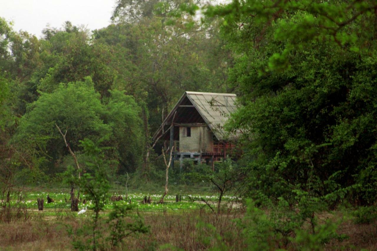 Wasgamu Safari Lodge Wasgamuwa 外观 照片